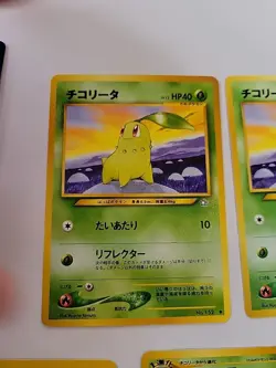 Pokemon TCG Chikorita And Bayleef Collection English And Japanese - Image 4