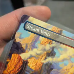 Steam Vents MINT Borderless 348 Lorwyn Eclipsed ECL MTG Rare Land Unplayed M/NM - Image 3