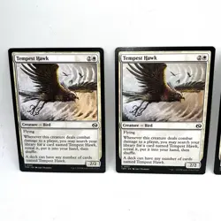 Tempest Hawk 5x Tarkir Dragonstorm Regular MTG Magic The Gathering - Image 2