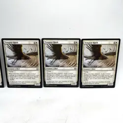 Tempest Hawk 5x Tarkir Dragonstorm Regular MTG Magic The Gathering - Image 3