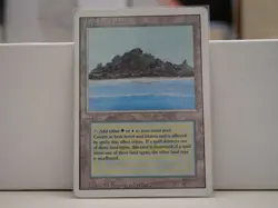 Tropical Island - Revised (3ED) 1993 - MTG Magic the Gathering - RARE DUAL LAND - Image 1