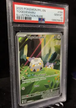 PSA 10 Togedemaru 104/094 Illustration Rare 2025 PFL EN Pokemon - Image 3