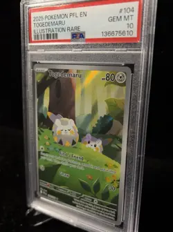PSA 10 Togedemaru 104/094 Illustration Rare 2025 PFL EN Pokemon - Image 4