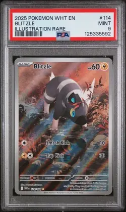 2025 POKEMON WHT EN-WHITE FLARE ILLUSTRATION RARE #114 BLITZLE PSA 9 - Image 1