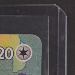2020 POKEMON SWSH DARKNESS ABLAZE #194/189 SALAMENCE VMAX RAINBOW SECRET RARE - Image 5
