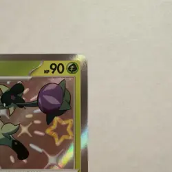 Floragato 077 Sv: Scarlet & Violet Promo Cards Holo - Image 4