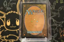 Mistrise Village - Tarkir: Dragonstorm - Showcase - Land - Rare - 0397 - NM/M - Image 2