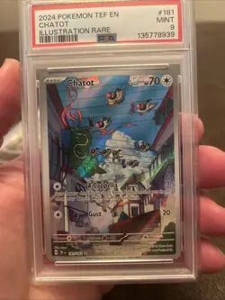 Pokemon TCG Chatot Card SV05: Temporal Forces, Illustration Rare PSA 9 - Image 1