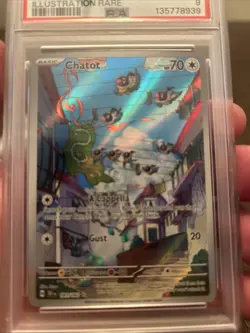 Pokemon TCG Chatot Card SV05: Temporal Forces, Illustration Rare PSA 9 - Image 2