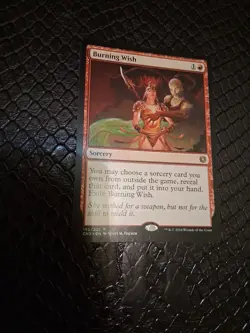 Burning Wish Conspiracy Take the Crown NM - Image 1