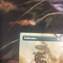 MTG Endurance (0048) - Borderless, NM-Mint, English Special Guests - Image 2