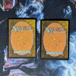 2x Aquitect's Will - Lorwyn (LRW) - Image 2