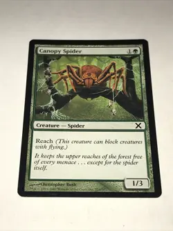 Canopy Spider Magic The Gathering Card - Image 2