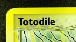 Totodile δ Species 67/101 Stamped Pokemon EX Dragon Frontiers Reverse Holo LP - Image 4