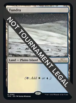 Magic: The Gathering - Tundra Land Rare 30th Anniversary Edition 0280 - Image 1