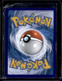 Oshawott SWSH222 / SW&SH Black Star Promo 2022 (LP) / Pokemon TCG - Image 2