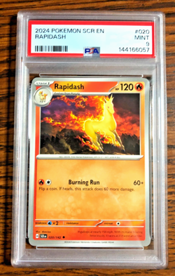 Rapidash Regular Uncommon #020 - PSA MINT 9 - 2024 Stellar Crown - Pokemon TCG - Image 4