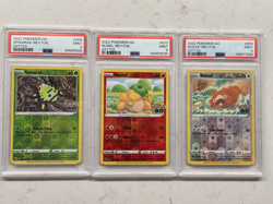 Seq Set Bidoof 059, Numel 013, Spinark 006 (Peelable Ditto) Pokemon Go all PSA 9 - Image 1