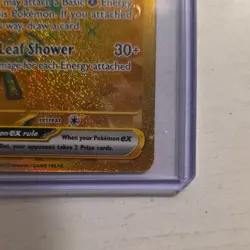 Pokemon Teal Mask Ogerpon EX 177/131 SV Prismatic Evolutions Hyper Rare Holo - Image 5