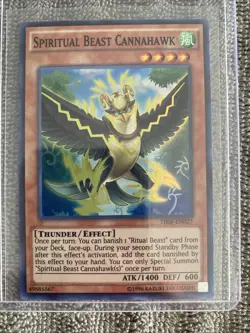 Yugioh Spiritual Beast Cannahawk THSF-EN027 1st Edition Super Rare NM - Image 1