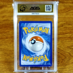 Pokemon Temporal Forces Torterra EX 185/162 AGS Gem-MT 10 Holo Secret Rare 2024 - Image 3