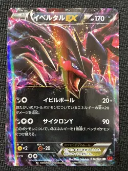 Yveltal EX 037/060 Double Rare Collection Y Pokemon Japanese Near Mint - Image 1