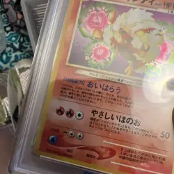 Dark Arcanine No.59 Neo Destiny Japanese PSA 9 Slab Old Back TCG Pokemon Card - Image 4