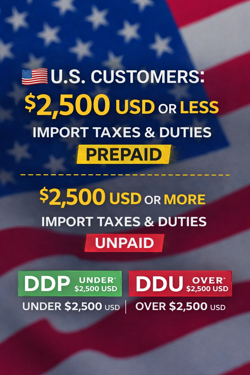 PSA 9 Pikachu M LV.X 043/DPt-P Movie Promo 2009 Holo Pokemon Card Japanese 2009 - Image 3