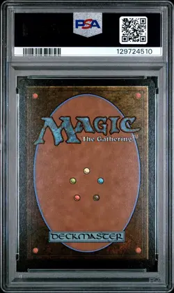 2024 MTG SECRET LAIR DROP #1593 LUKA, THE TRAVELING SOUND PSA 10 - Image 2