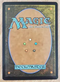 MTG Magic The Gathering- Seedguide Ash Lorwyn Regular - Image 2