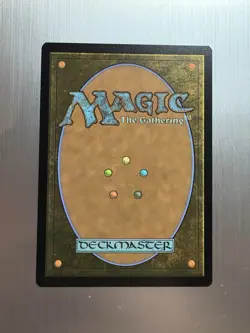 Plains, Basic Land - 189 - MTG: Marvel’s Spider-Man: Eternal - Common - Regular - Image 2