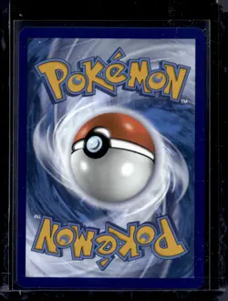Squirtle SVP048 / Cosmos Holo S&V Black Star Promo 2023 (NM) / Pokemon TCG - Image 2