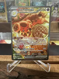 Dachsbun ex 169/142 Holo Special Illustration Rare Stellar Crown Pokemon Card NM - Image 2