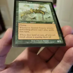 Xantid Swarm - Scourge - MTG - NM - Image 2