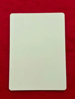 Pokemon Sticker Card Spring 2020 Let's Have Fun Japanese Prom - Image 2