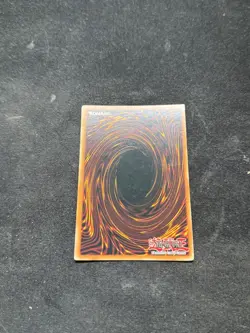 Yugioh Black Rose Dragon CSOC-EN039 Ultra Rare Unlimited Edition LP! - Image 2