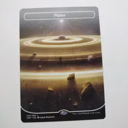 Plains (240) (Borderless) #240 (NM) Unfinity UNF Magic MTG - Image 1