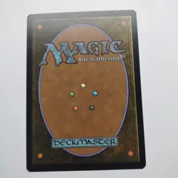 Plains (240) (Borderless) #240 (NM) Unfinity UNF Magic MTG - Image 2