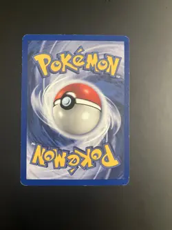 Pidgeot 24/64 Jungle Rare 80HP Wing Attack Hurricane 1999 English Pokemon TCG - Image 2