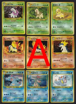 Pokemon Neo Premium File 1 Promo Folder 9 Card Set Japanese - Image 3