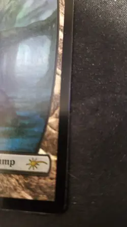 MTG - Judge Promos (JDG) - Swamp - Full Art Foil - Terese Nielsen Lightly Played - Image 4