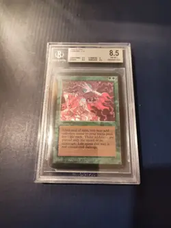 1993 Alpha Channel Graded 8.5 - Image 1