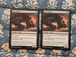 Rat Colony x2 - Dominaria - MTG Magic - Image 1