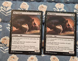 Rat Colony x2 - Dominaria - MTG Magic - Image 2