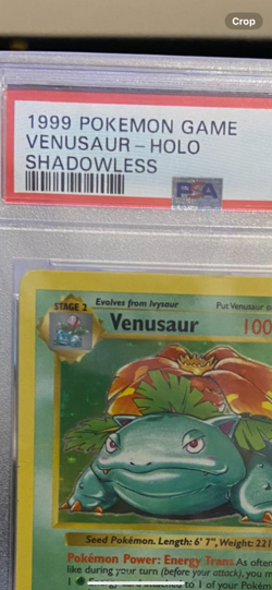 1999 Pokemon game PSA 5 shadowless Venusaur Holo #15 - Image 3