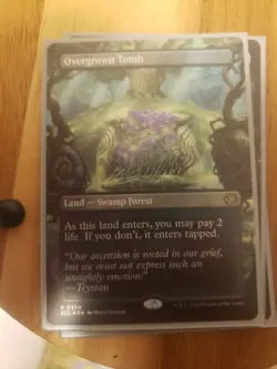 Overgrown Tomb (Borderless) Lorwyn Eclipsed Foil - Image 1