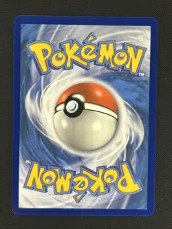 Pokemon Charizard GX #SM211 English Black Star Promo - Image 2