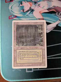 MTG Bayou Revised English MP Magic the gathering - Image 1