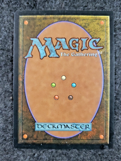 Familiar Ground Magic the Gathering Weatherlight (1997) NM............ (DS3D1K3) - Image 2