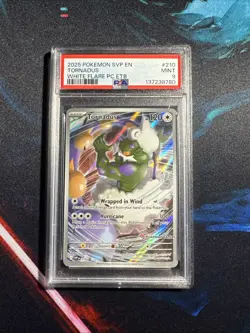 2025 POKEMON SVP EN ENGLISH TORNADUS WHITE FLARE PC ETB EXLUSIVE PROMO - Image 1